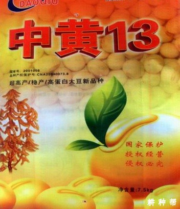 中黄13大豆品种好不好？