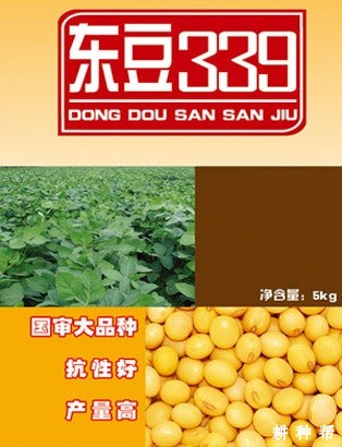 东豆339大豆品种好不好？