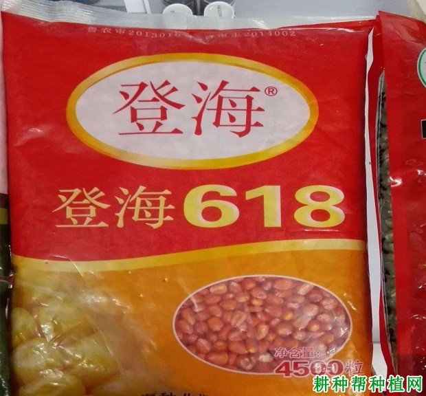 登海618玉米品种好不好？