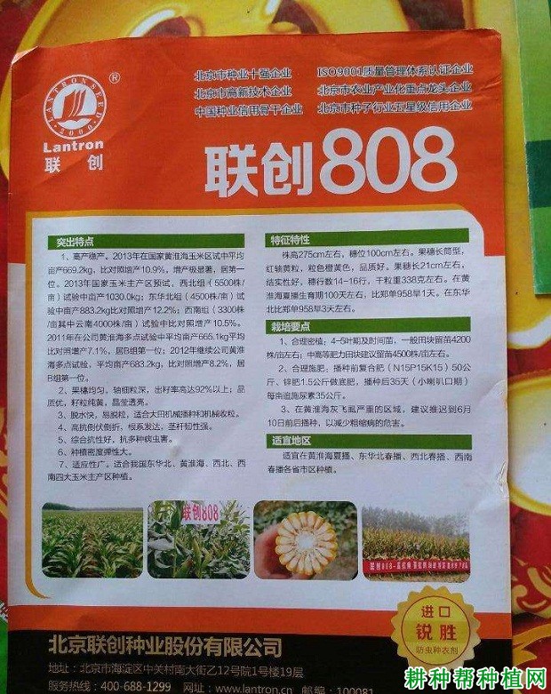 联创808玉米品种好不好？