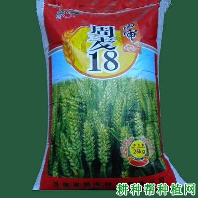 周麦18小麦品种好不好？