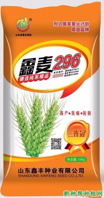 鑫麦296小麦品种好不好？