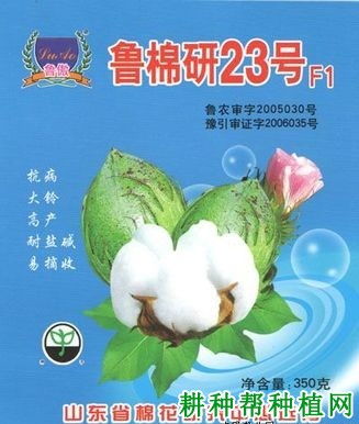 鲁棉研23棉花品种好不好？