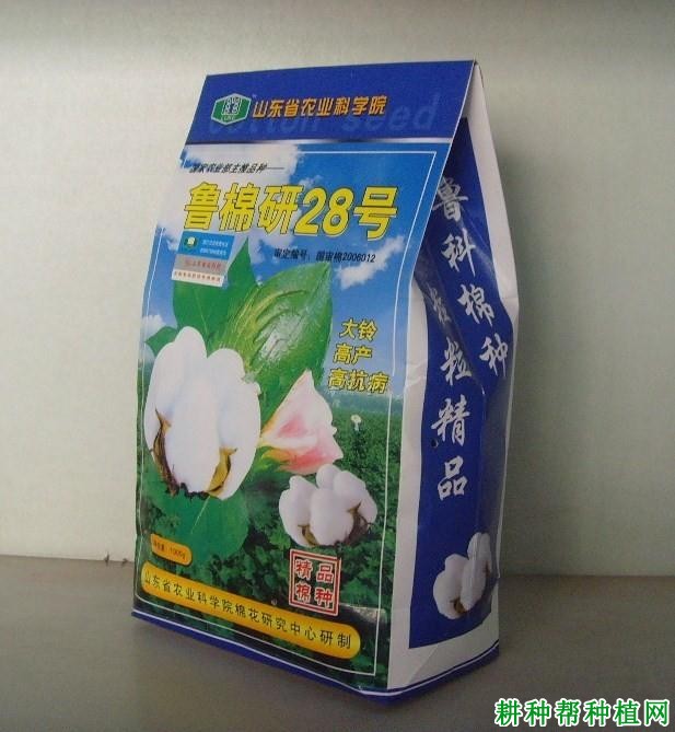 鲁棉研28号棉花品种好不好？