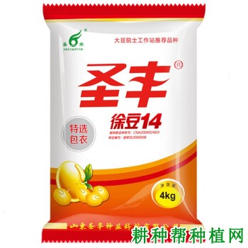 徐豆14大豆品种好不好？