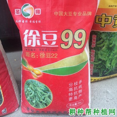 徐豆99大豆品种好不好？