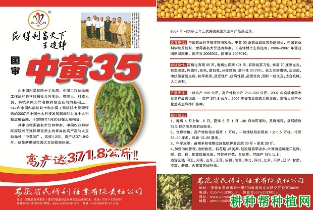 中黄35大豆品种好不好？