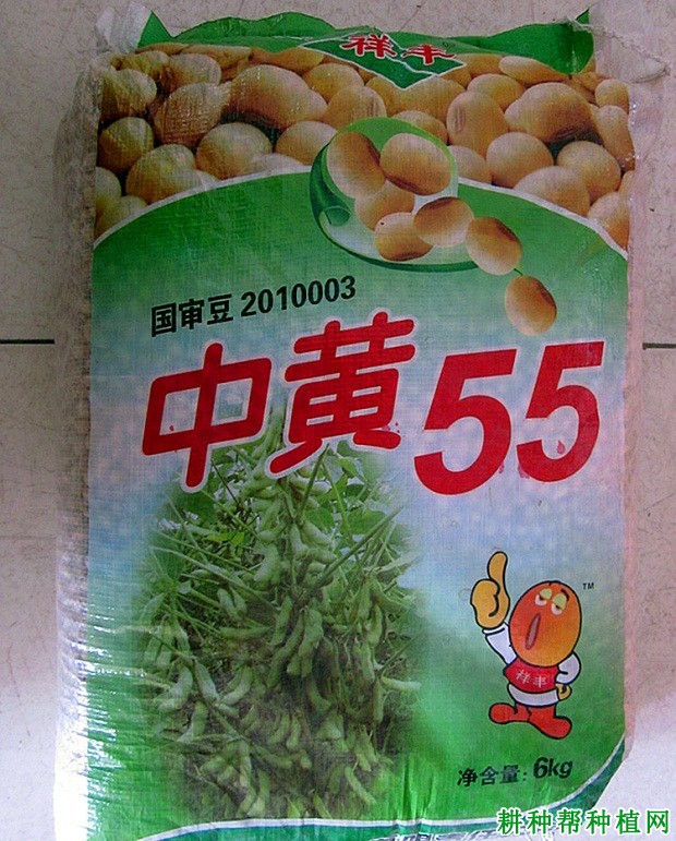 中黄55大豆品种好不好？