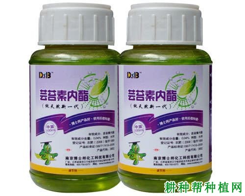 小麦浸种可以使用哪些植物生长调节剂？