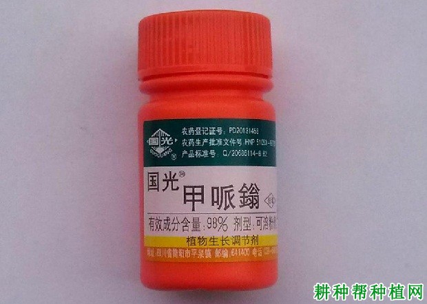 玉米苗期能使用哪些生长调节剂？