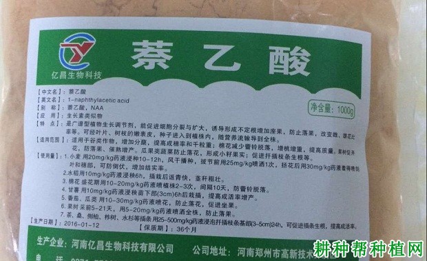 玉米种子可以用什么农药来处理？