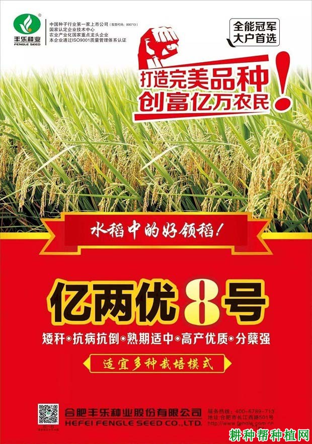 亿两优8号水稻品种好不好？