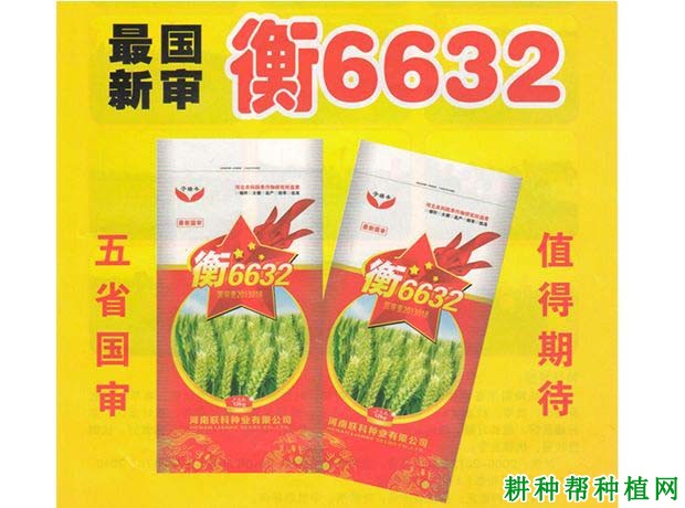 衡6632小麦品种好不好？