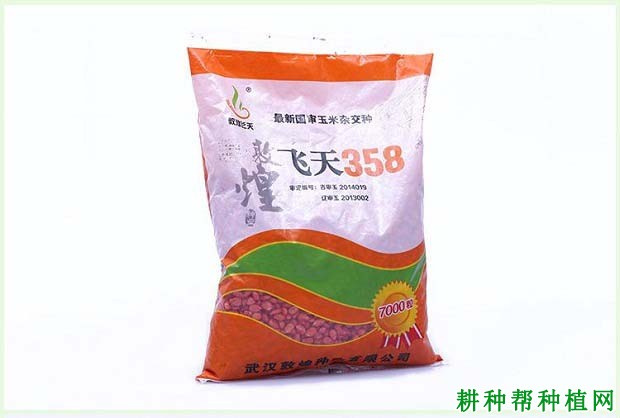 飞天358玉米品种好不好？