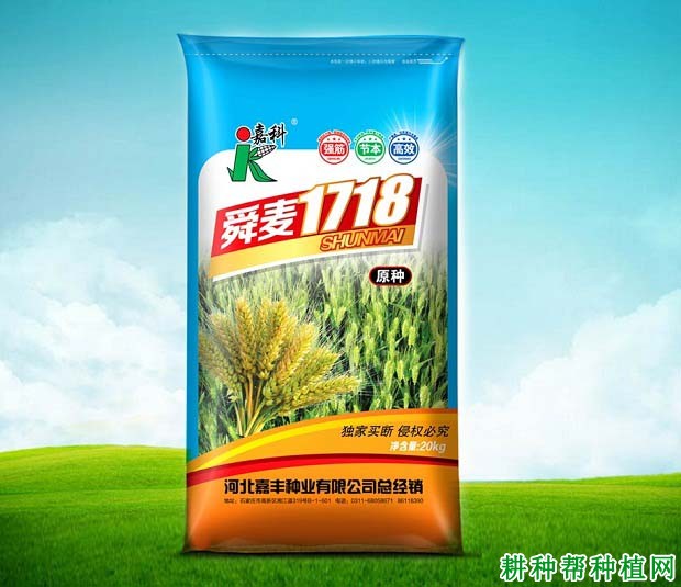 舜麦1718小麦品种好不好？