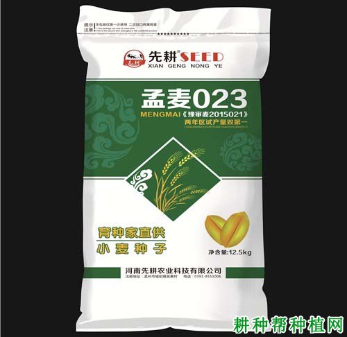 孟麦023小麦品种好不好？