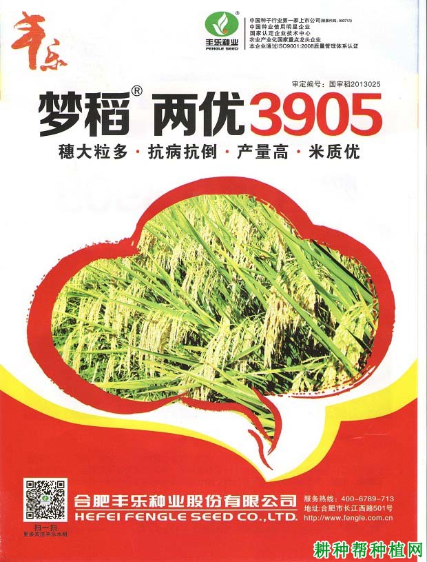 两优3905水稻品种好不好？