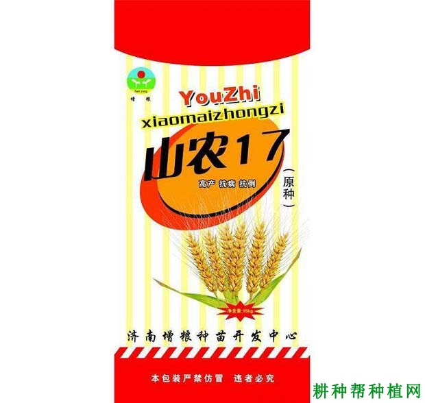 山农17小麦品种好不好？