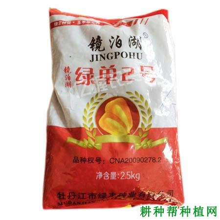 绿单2号玉米品种好不好？