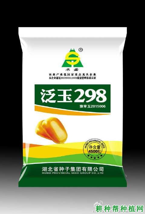 泛玉298玉米品种好不好？