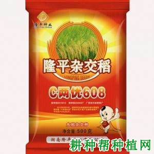 C两优608水稻品种好不好？