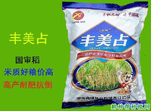 丰华占水稻品种好不好？