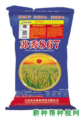 苏秀867水稻品种好不好？