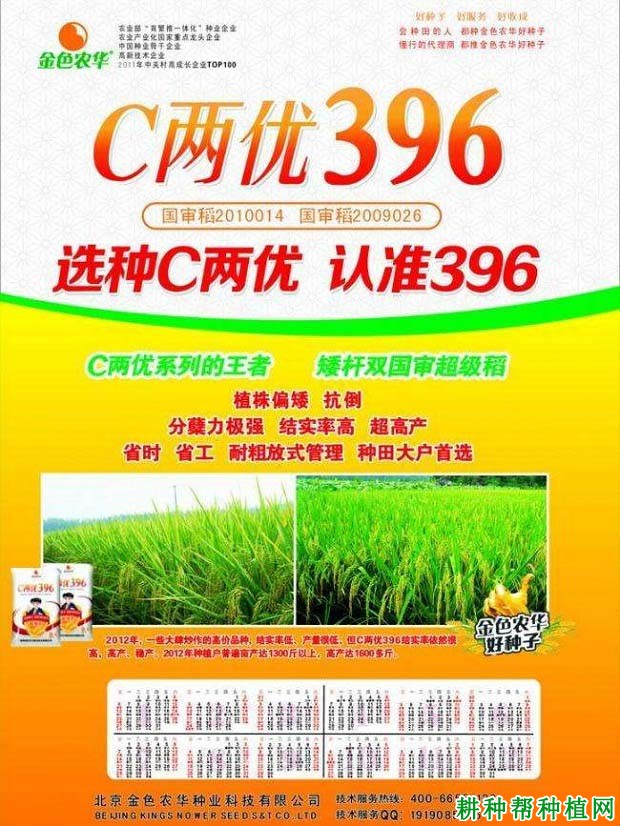 C两优396水稻品种好不好？