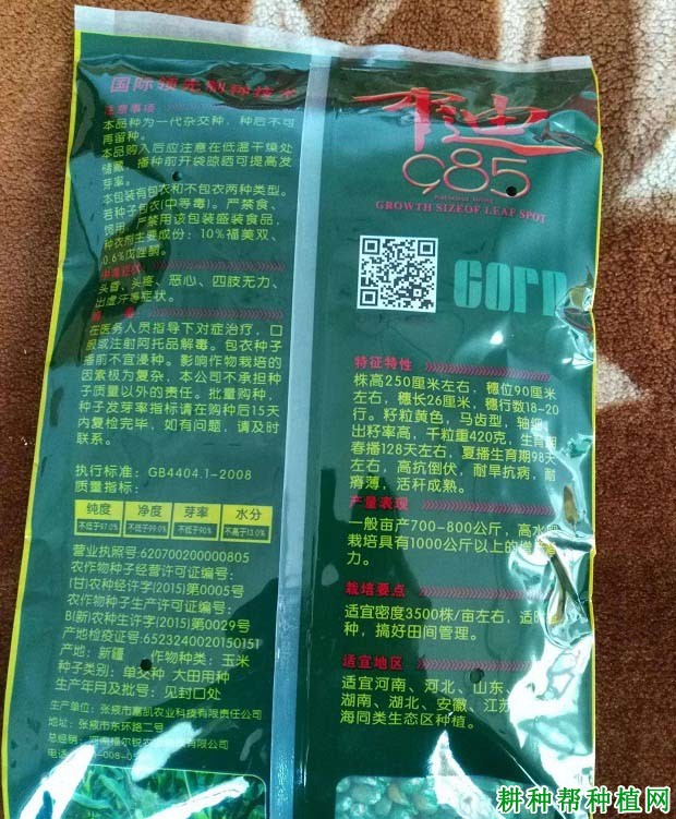 中迪985玉米品种好不好？