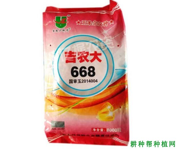 吉农大668玉米品种好不好？