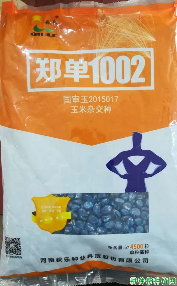 郑单1002玉米品种好不好？