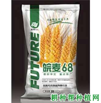 皖麦68小麦品种好不好？