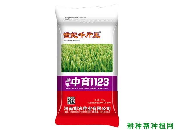 中育1123小麦品种好不好？