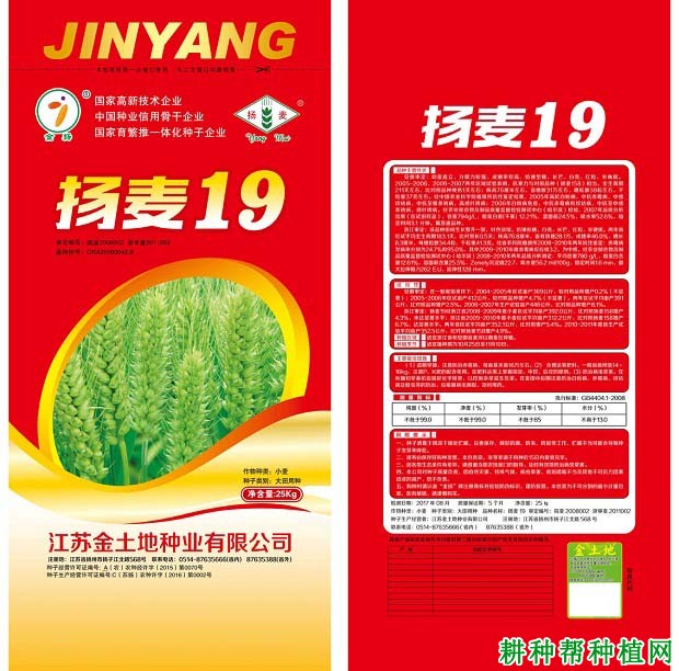 扬麦19小麦品种好不好？