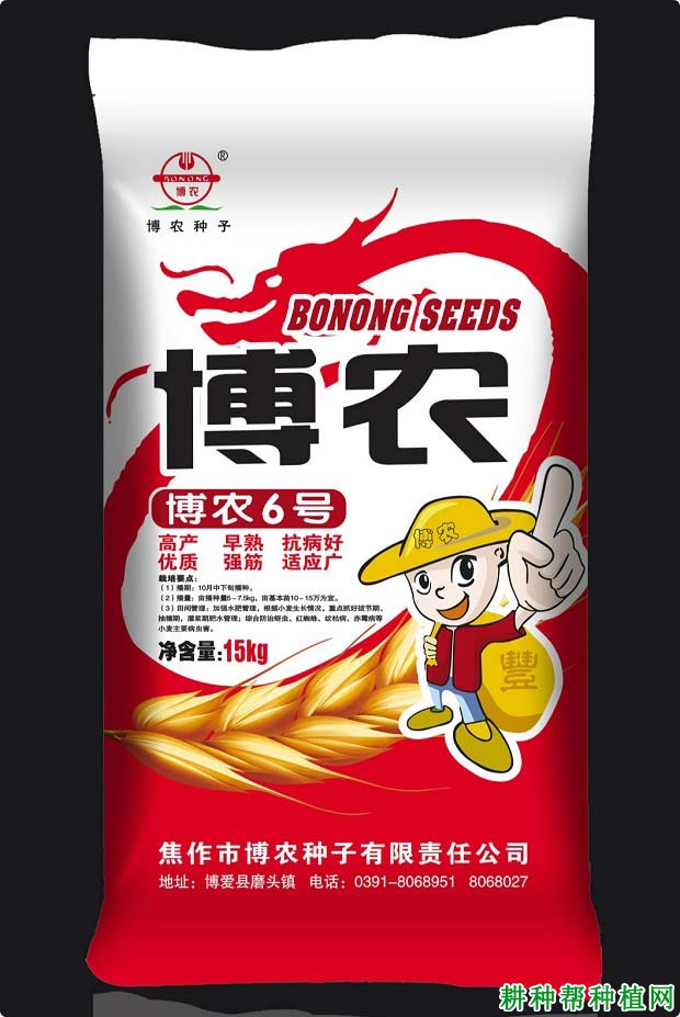 博农6号小麦品种好不好？