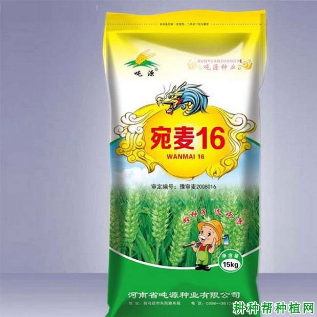 宛麦16小麦品种好不好？