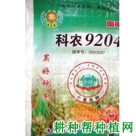 科农9204小麦品种好不好？