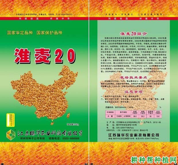 淮麦20小麦品种好不好？