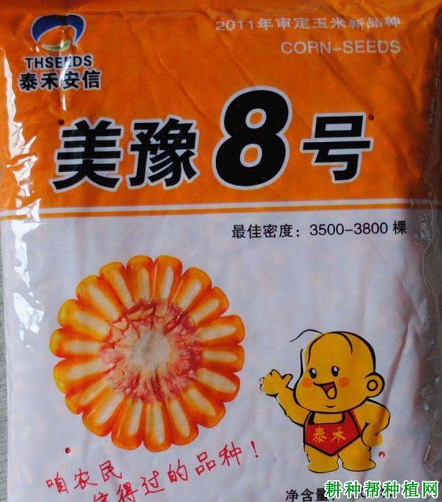 美豫8号玉米品种好不好？