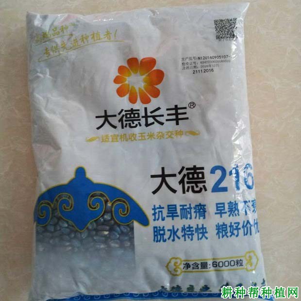 大德216玉米品种好不好？