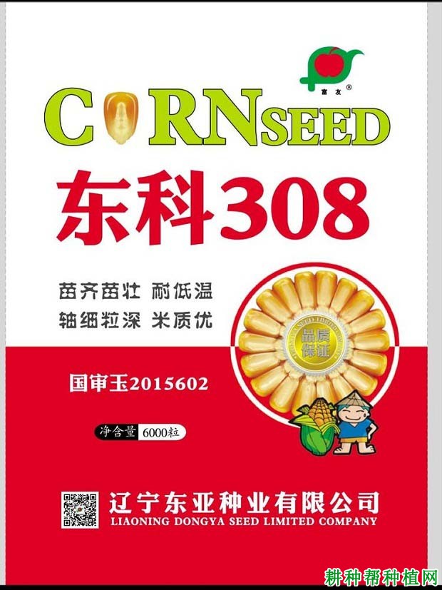 东科308玉米品种好不好？