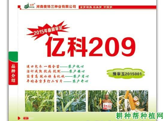 亿科209玉米品种好不好？