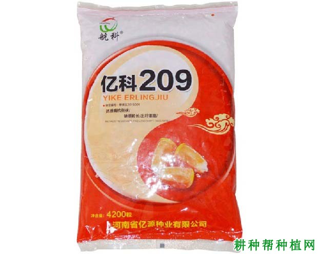 亿科209玉米品种好不好？