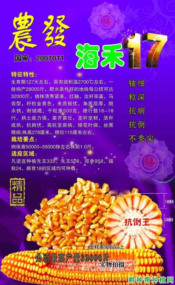 海禾17玉米品种好不好？