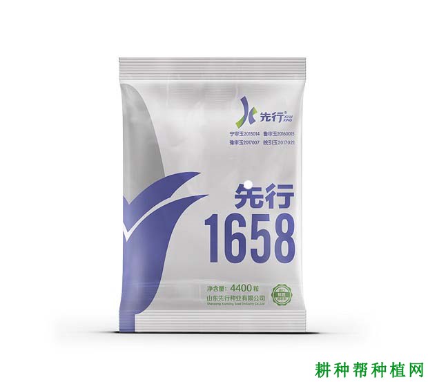 先行1658玉米品种好不好？