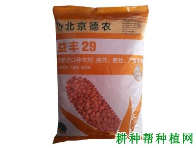 益丰29号玉米品种好不好？