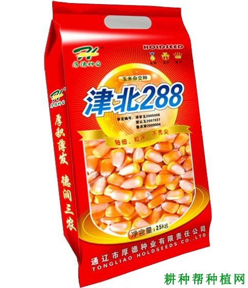 津北288玉米品种好不好？