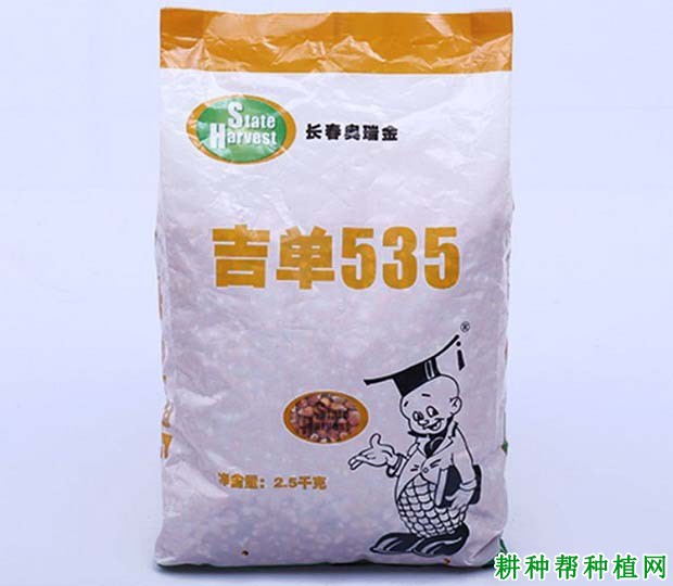 吉单535玉米品种好不好？