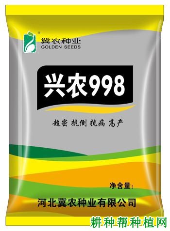 兴农998玉米品种好不好？