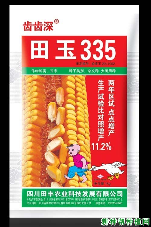 田玉335玉米品种好不好？